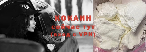 шишки Вязники